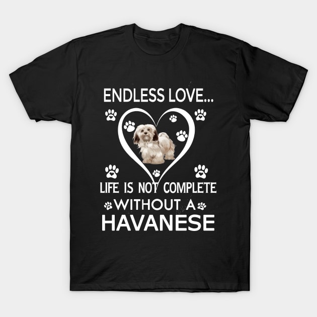 Havanese Lovers T-Shirt by bienvaem